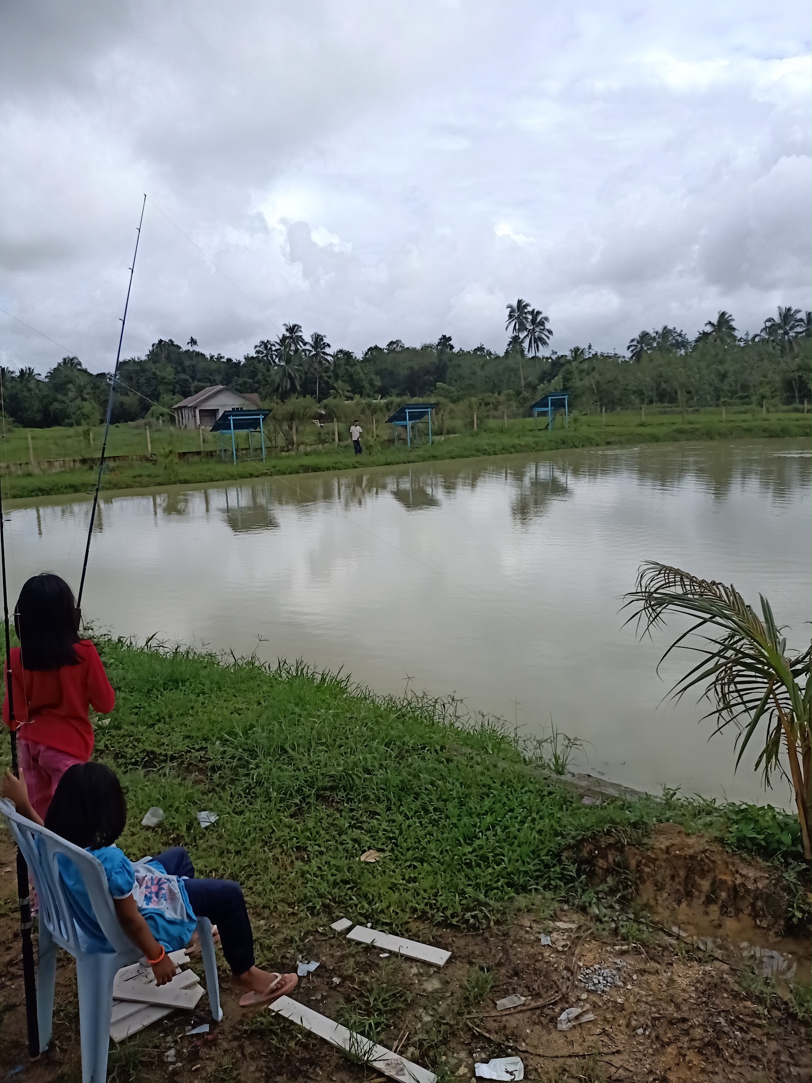 Kolam Pancing Lavender & Cafe, fishing pond in Pasir Puteh, Kelantan (photo 3)