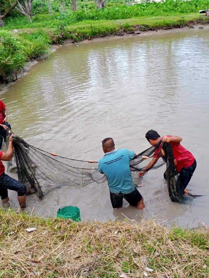 Kolam pancing Kolam Pancing Poksu Ya