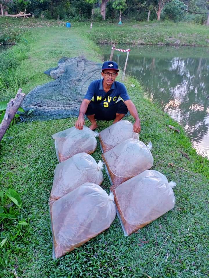 Kolam Pancing Poksu Ya, fishing pond in Kuala Krai, Kelantan (photo 2)