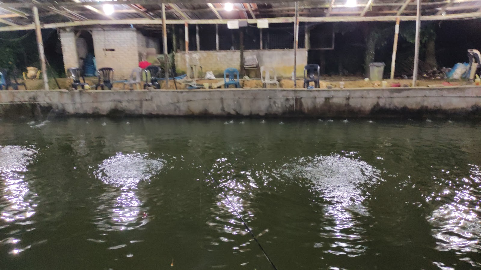 Kolam pancing Kolam Memancing Udang Galah Kg Kerawang