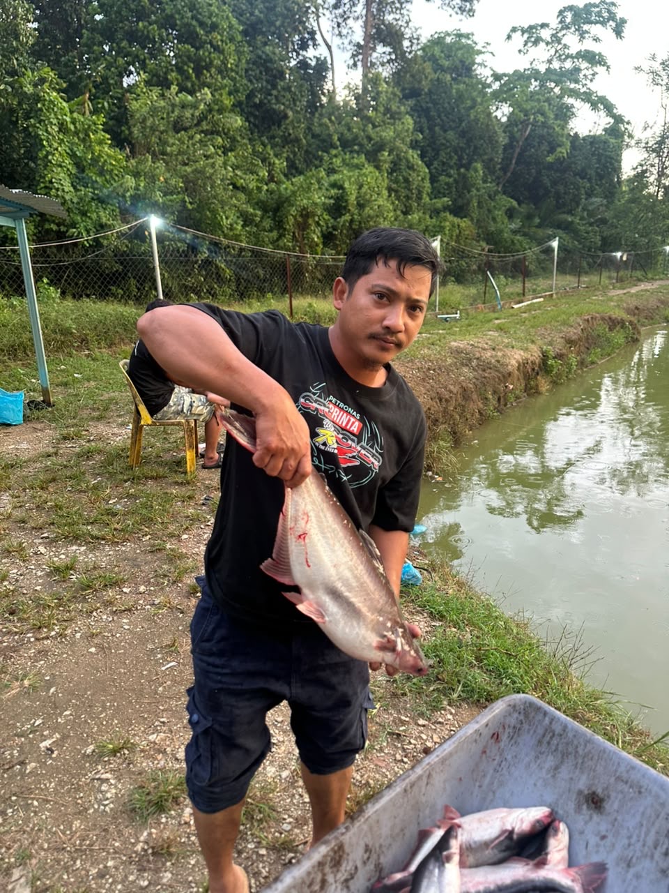 Kolam Pancing Kuala Krai, fishing pond in Kuala Krai, Kelantan (photo 2)