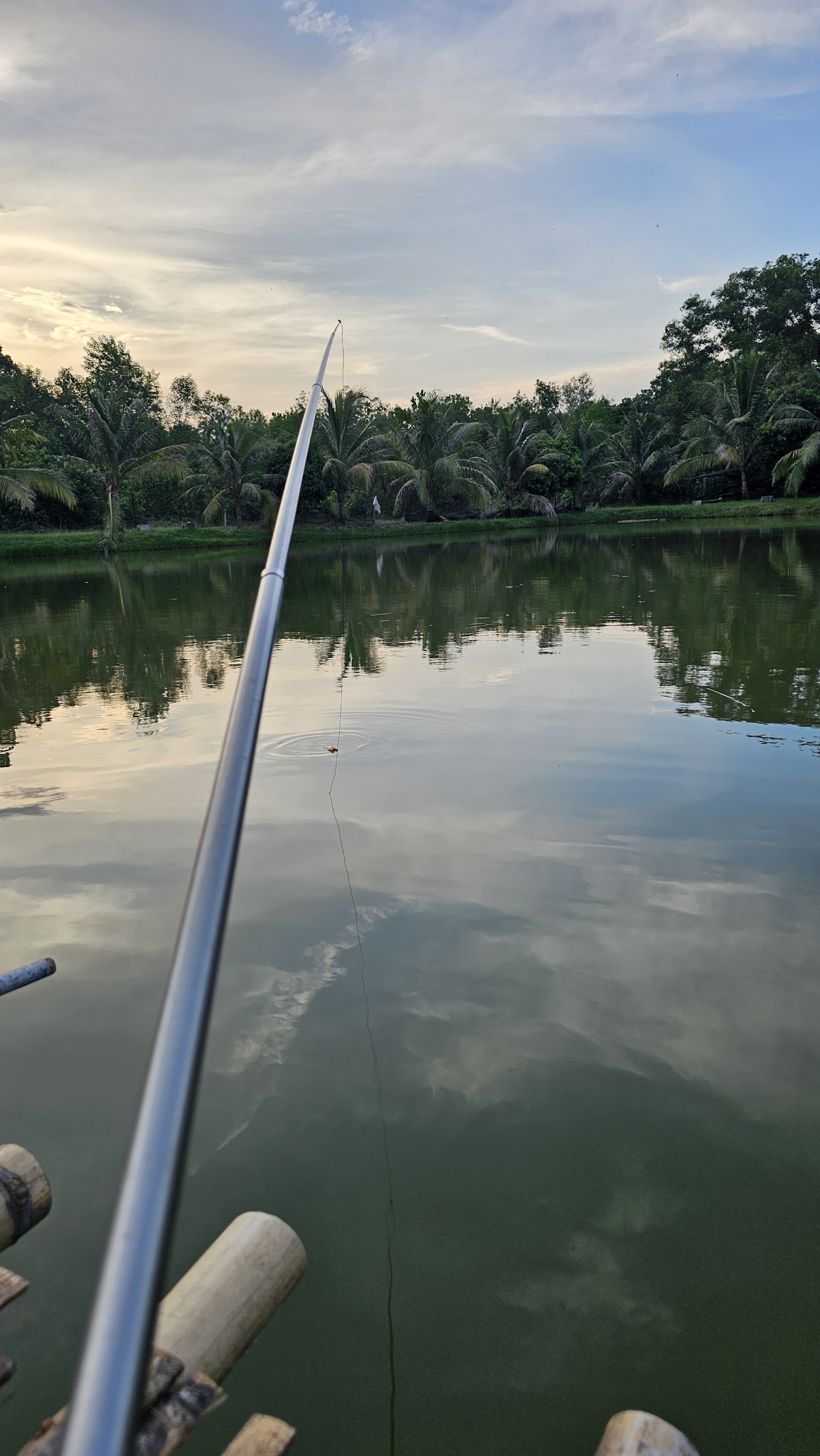 Kolam memancing bukit ajil fishing pond