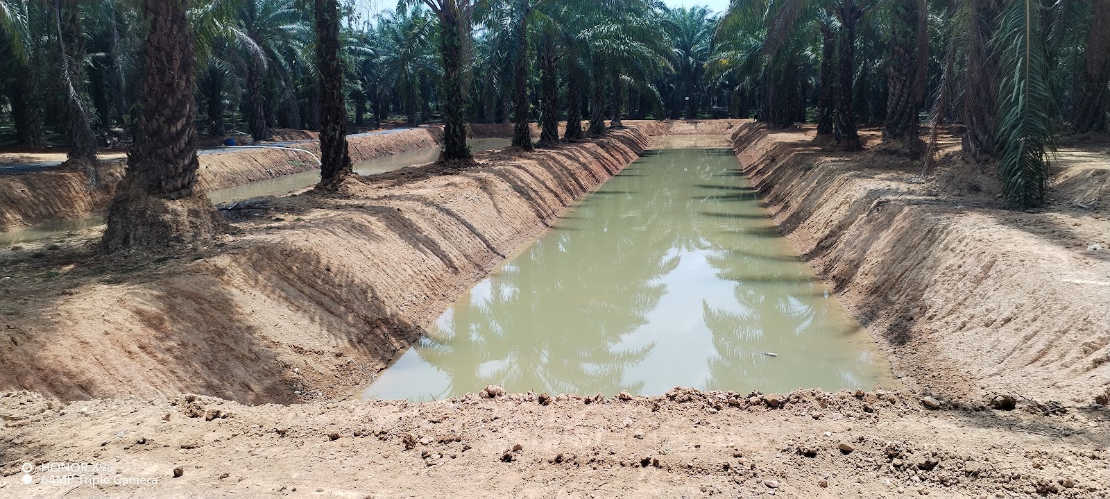 Kolam pancing Kolam pokloh chiku 1