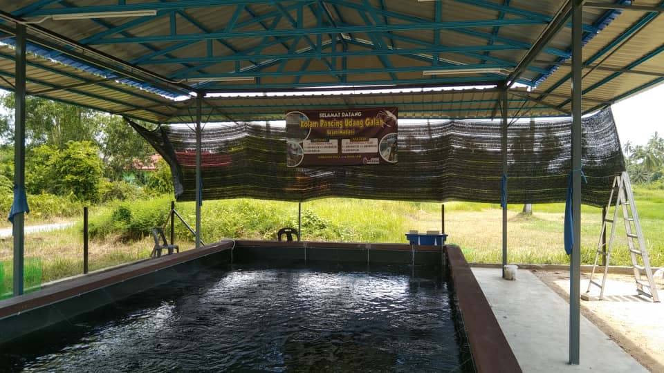 Kolam pancing udang galah bandar bachok, kolam pancing di Bachok, Kelantan (gambar 2)