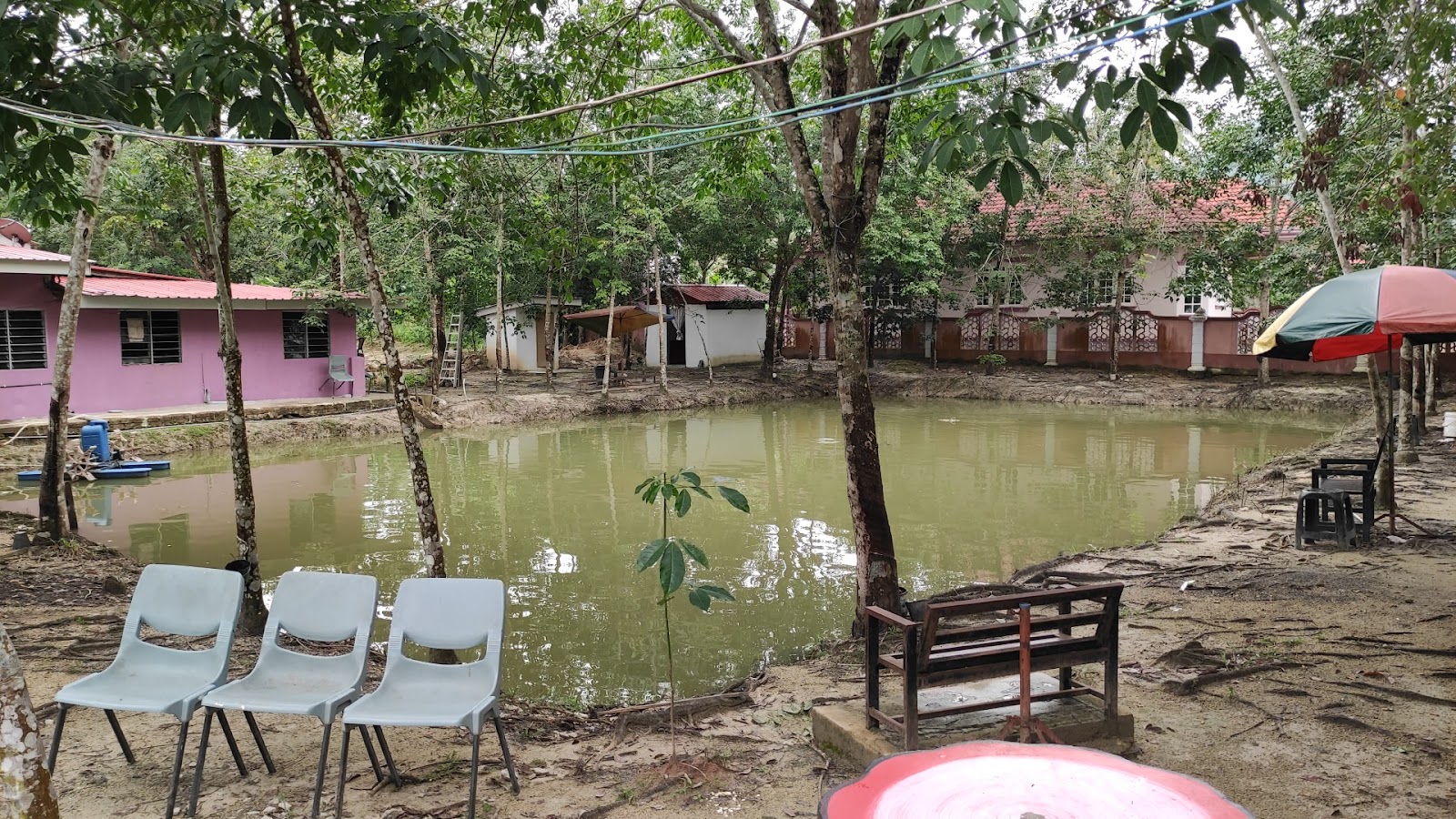 Kolam Memancing Pak Deen, fishing pond in Kuala Krai, Kelantan (photo 2)