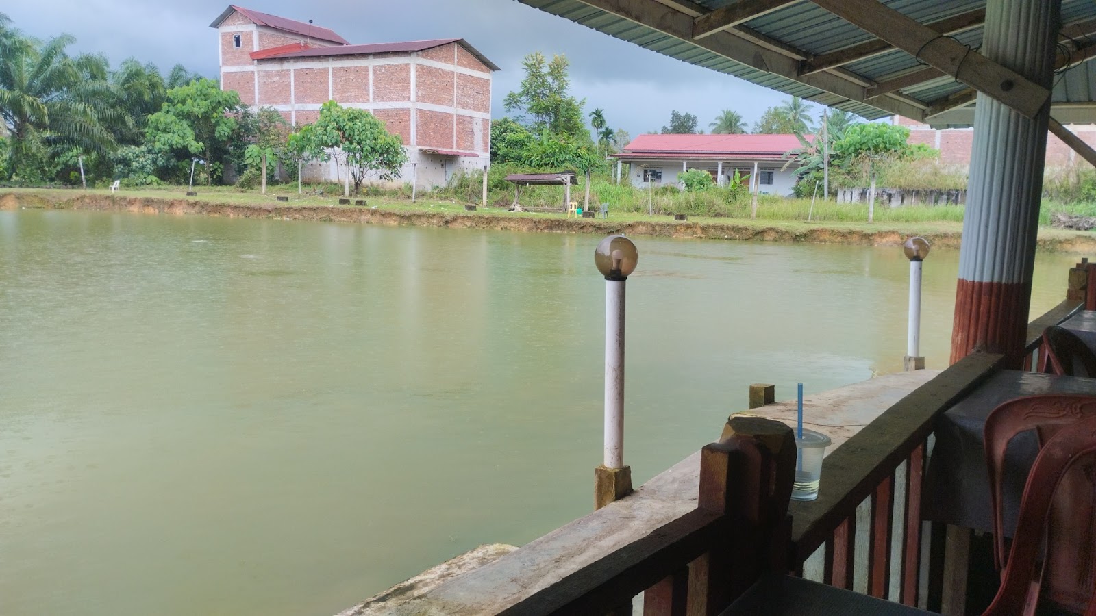 Kolam pancing Pok hamid ciku6, fishing pond in Kelantan (photo 3)
