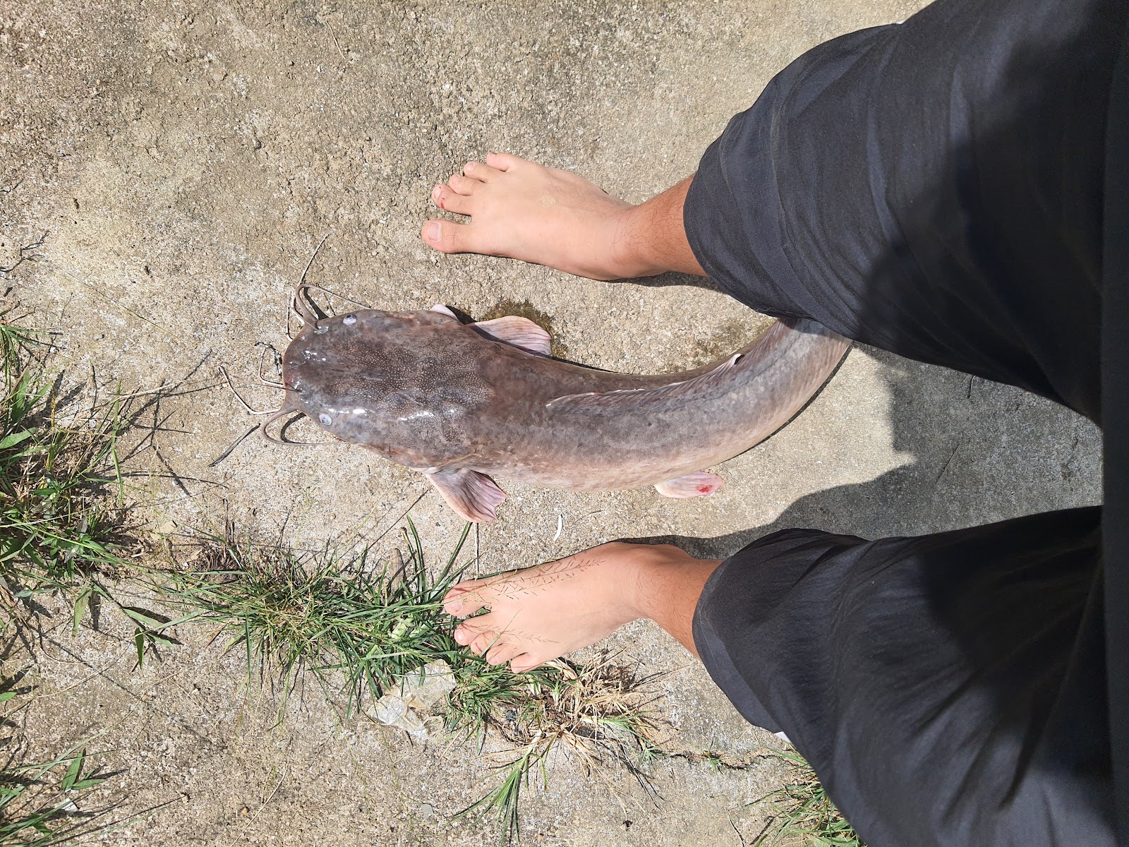 Kolam Pancing Ayah Him Paloh 1, fishing pond in Kelantan (photo 3)