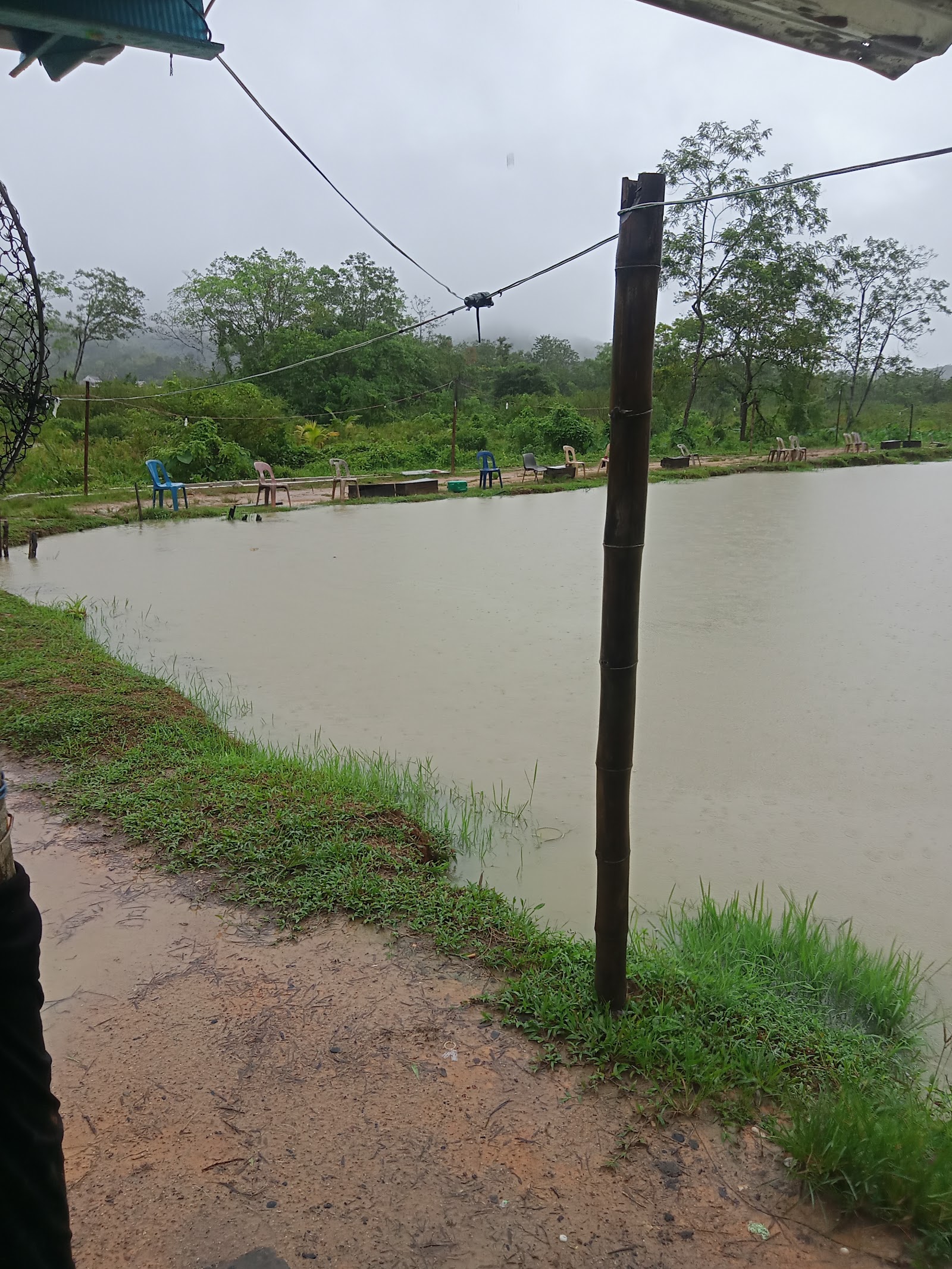 Kolam pancing Kolam Pisang