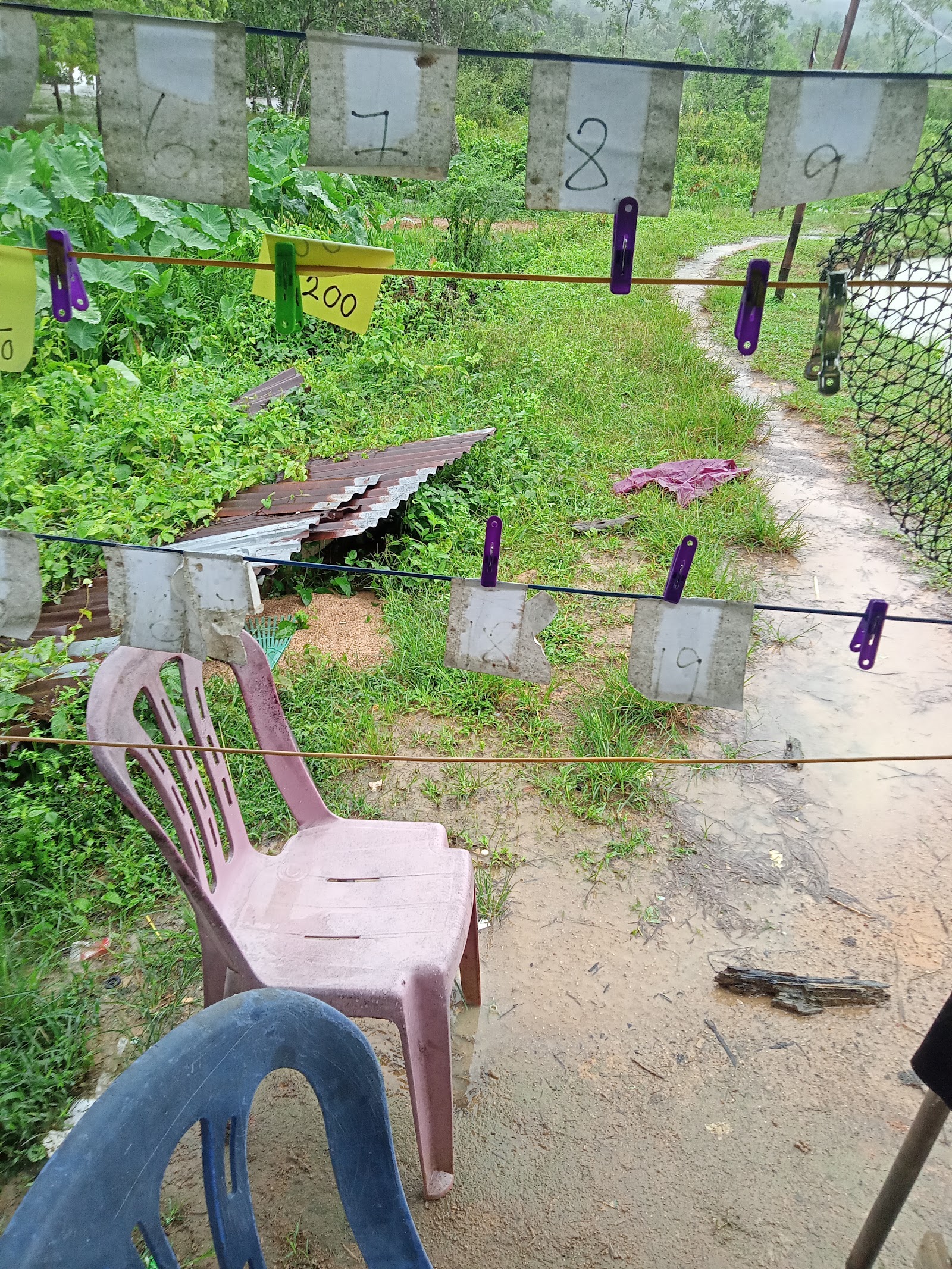 Kolam Pisang, fishing pond in Kuala Krai, Kelantan (photo 3)