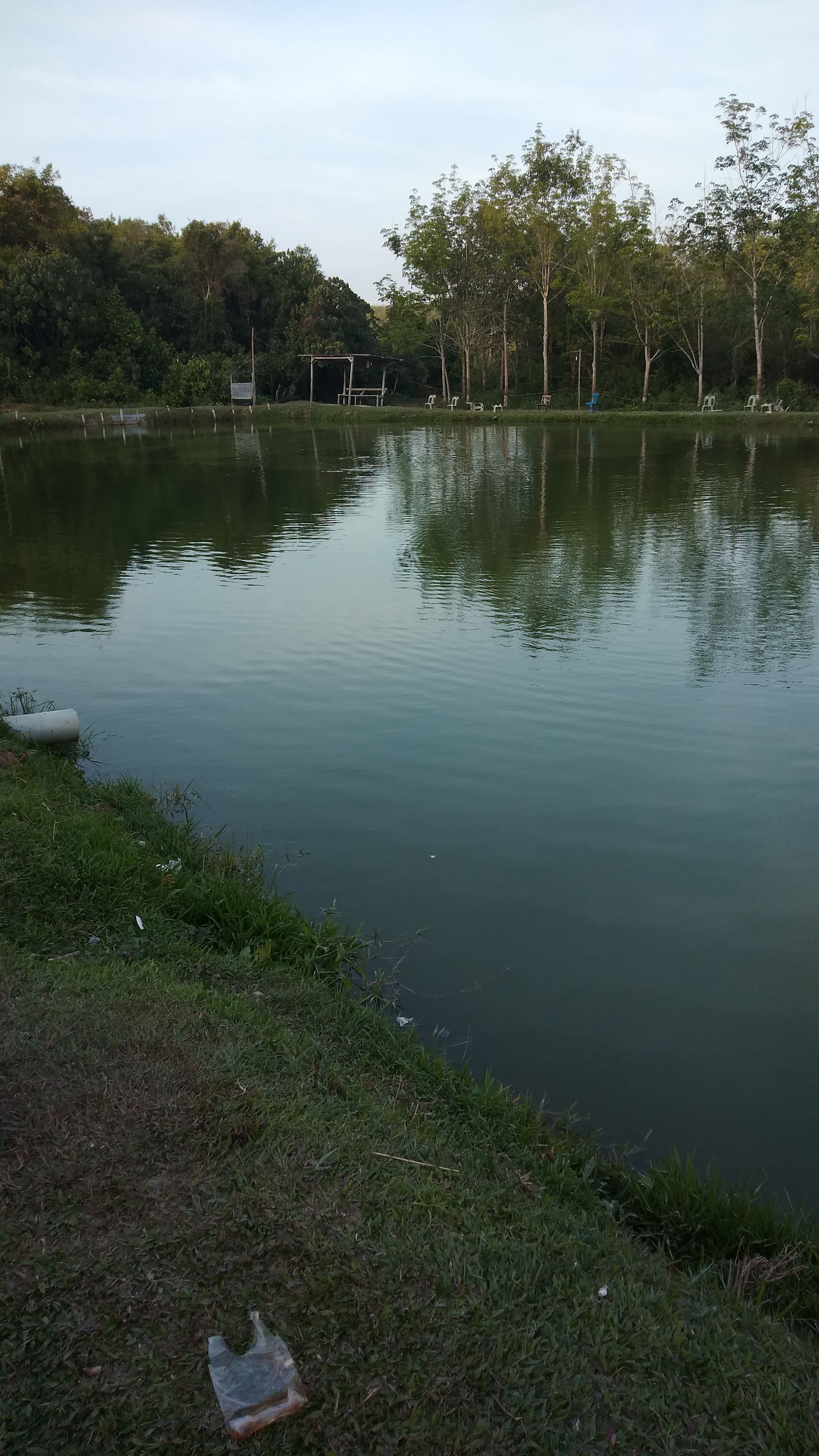 Kolam pancing Kolam Pancing Tcd