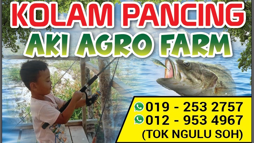 KOLAM PANCING AKI AGRO FARM, kolam pancing di Kuala Krai, Kelantan (gambar 2)