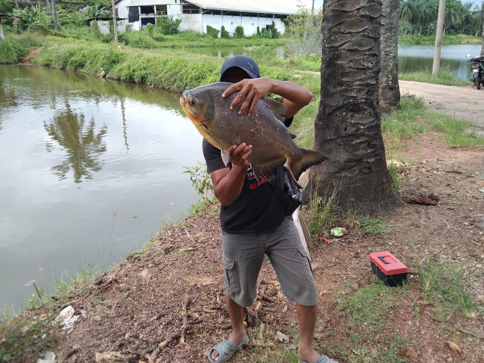 Kolam Pancing Joran Terbang, kolam pancing di Melaka (gambar 2)