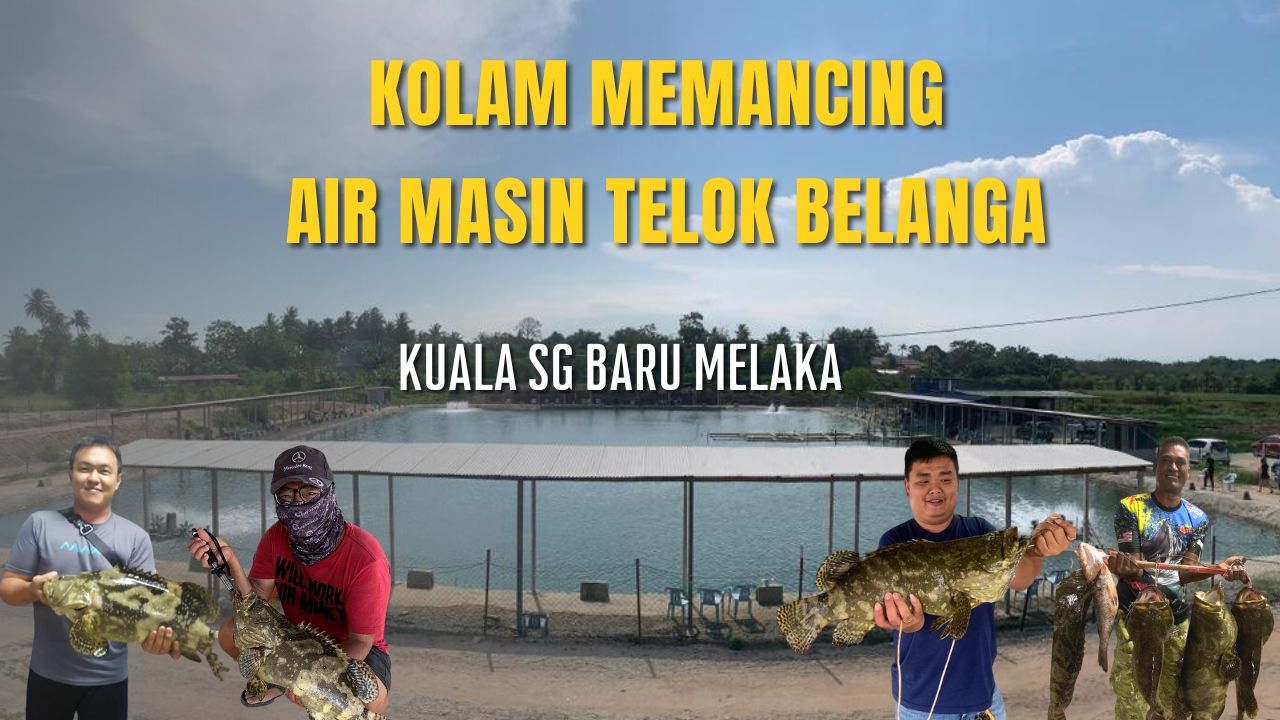Kolam pancing Kolam mancing air masin telok belanga