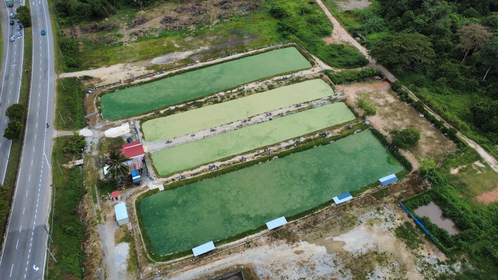 Kolam Mancing Amj Alor Gajah, kolam pancing di Alor Gajah, Melaka (gambar 2)