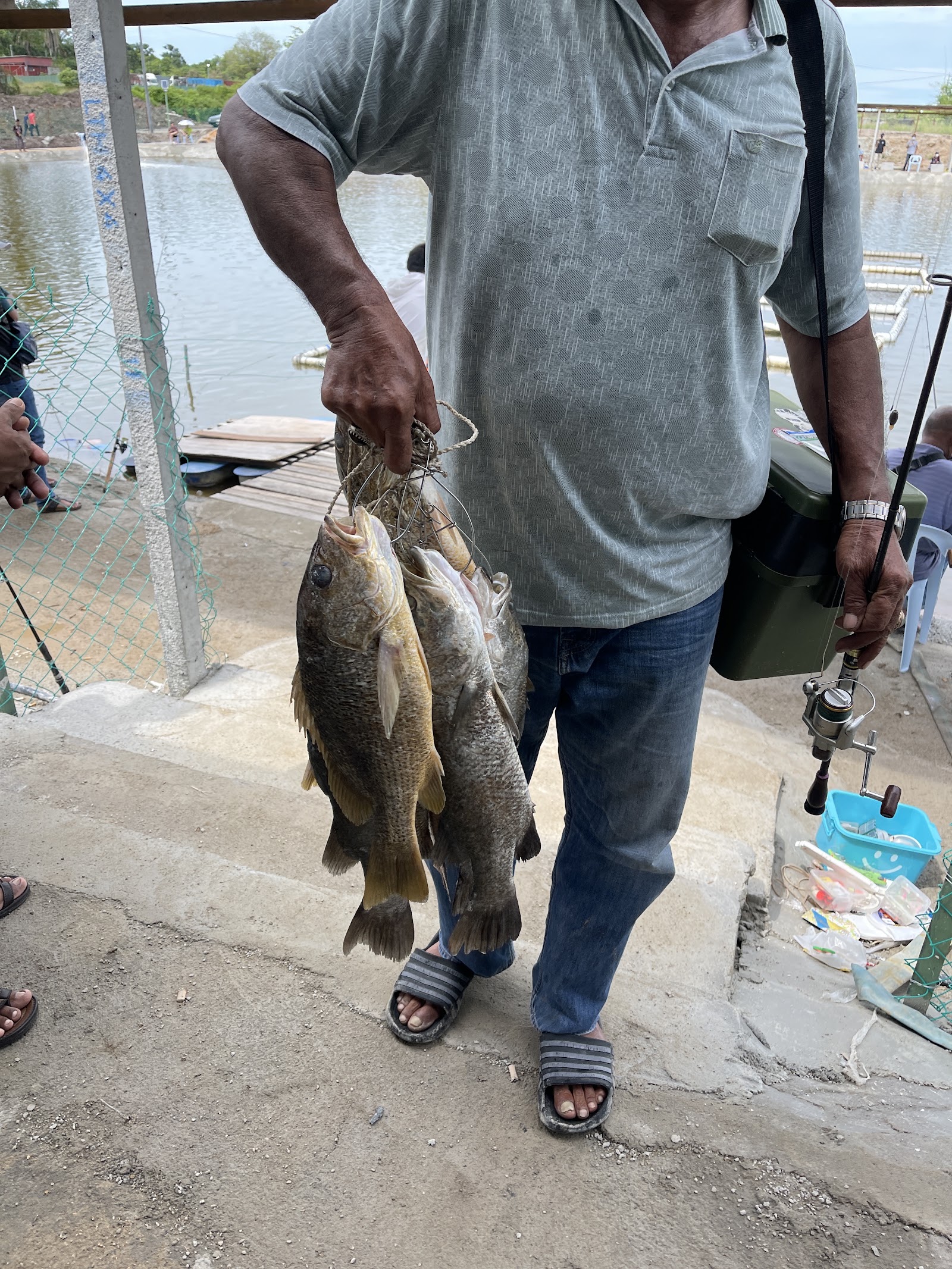 Kolam memancing pengkalan balak, kolam pancing di Kuala Sungai Baru, Melaka (gambar 1)