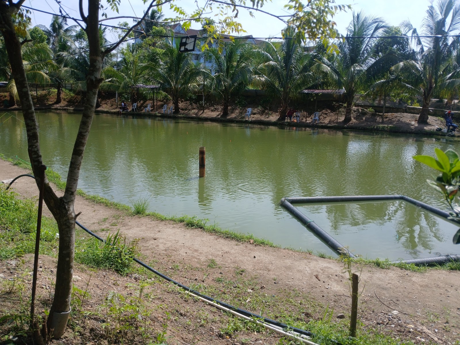 Kolam pancing Kolam Pancing Air Tawar Qal