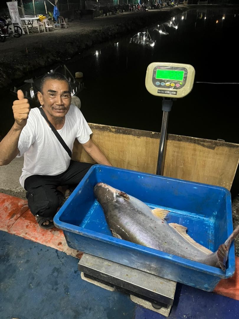 Kolam Mancing Lubuk China, kolam pancing di Lubok China, Melaka (gambar 3)