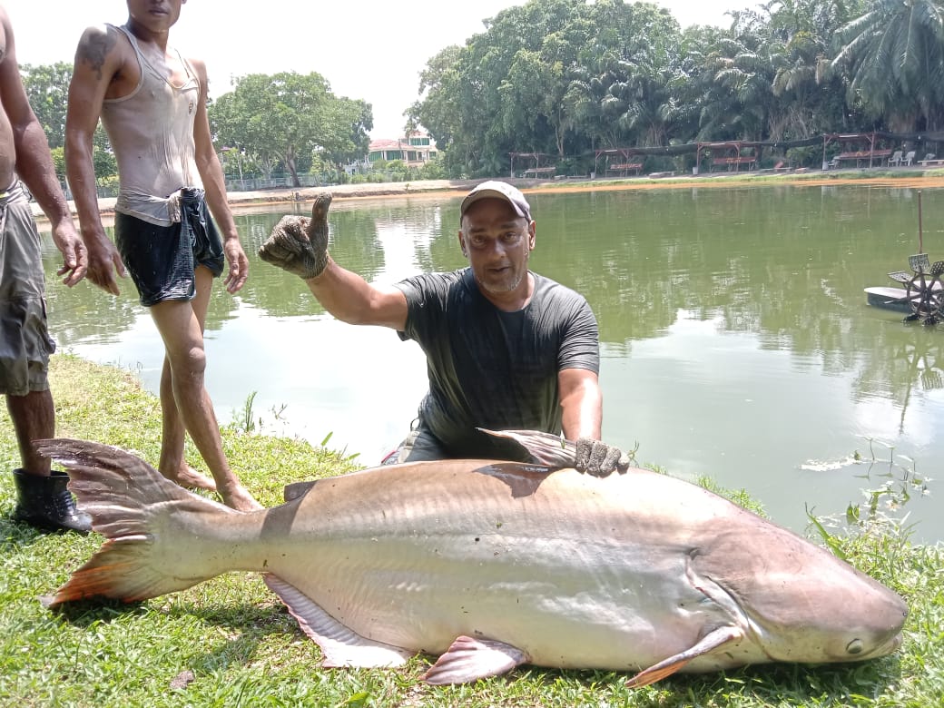 Rozali Kolam Pancing Bukit Tambun, fishing pond in Simpang Ampat, Pulau Pinang (photo 2)