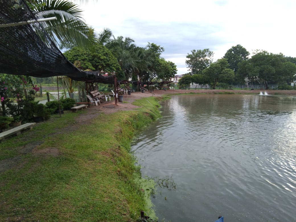 Rozali Kolam Pancing Bukit Tambun, fishing pond in Simpang Ampat, Pulau Pinang (photo 3)