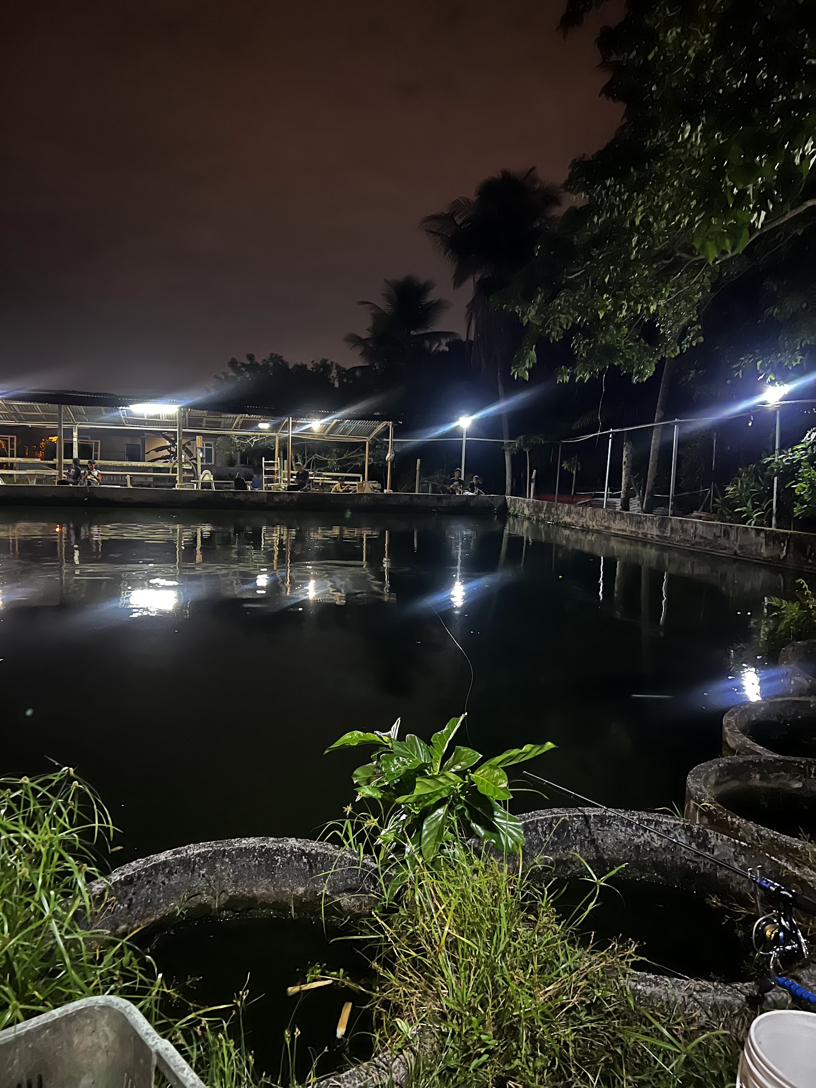 Kolam PakSu/MakSu, kolam pancing di Bukit Mertajam, Pulau Pinang (gambar 2)