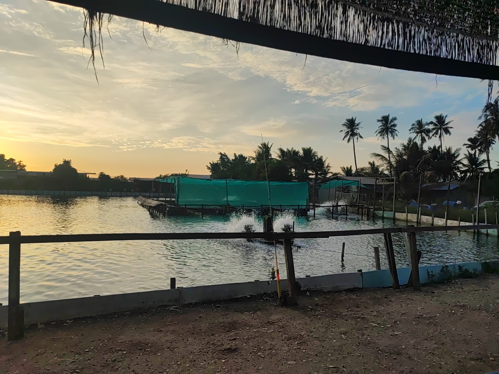 Kolam pancing Juru Sport Fishing