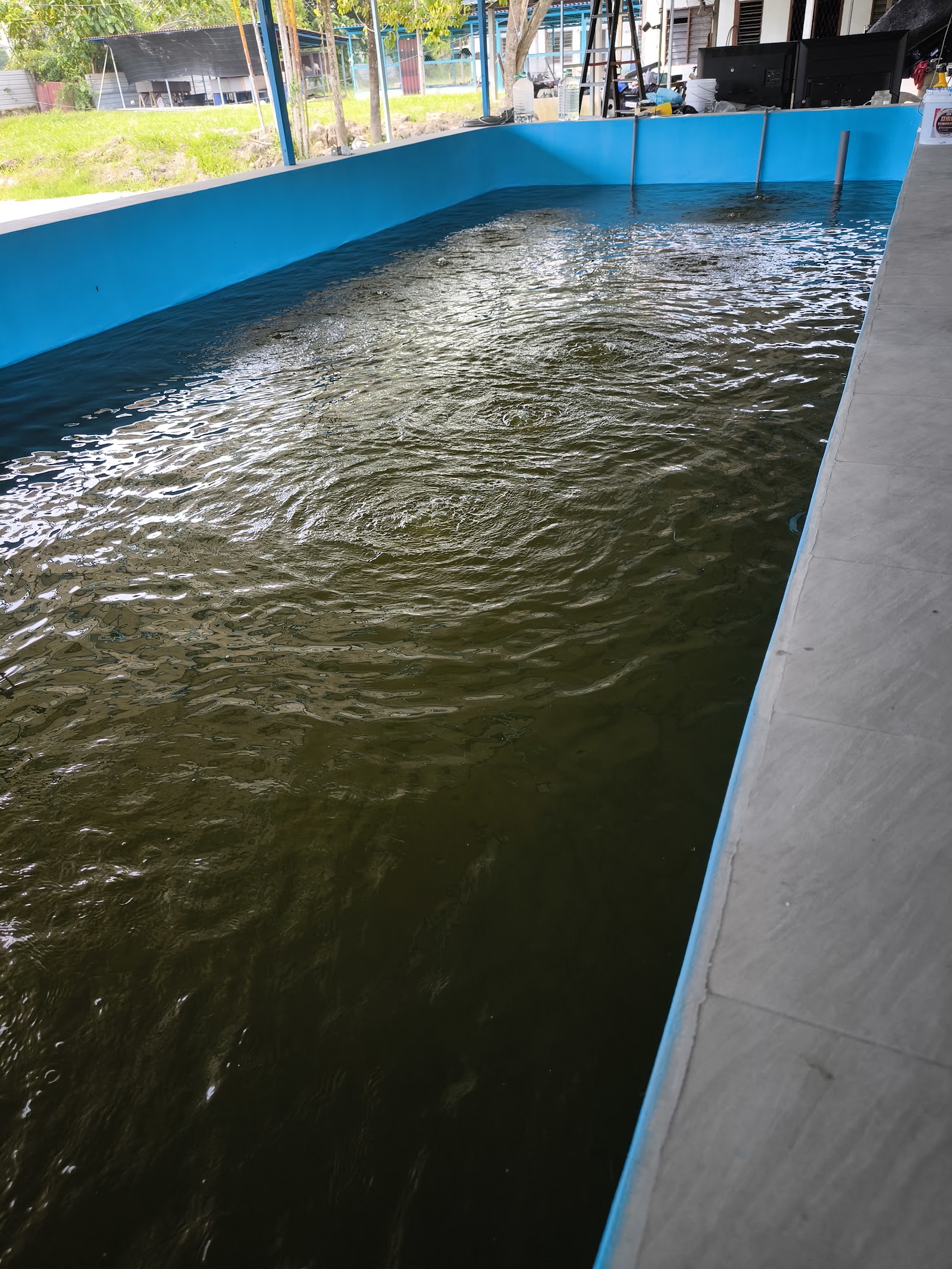 Kolam Pancing Udang Substation, fishing pond in Perai, Pulau Pinang (photo 2)