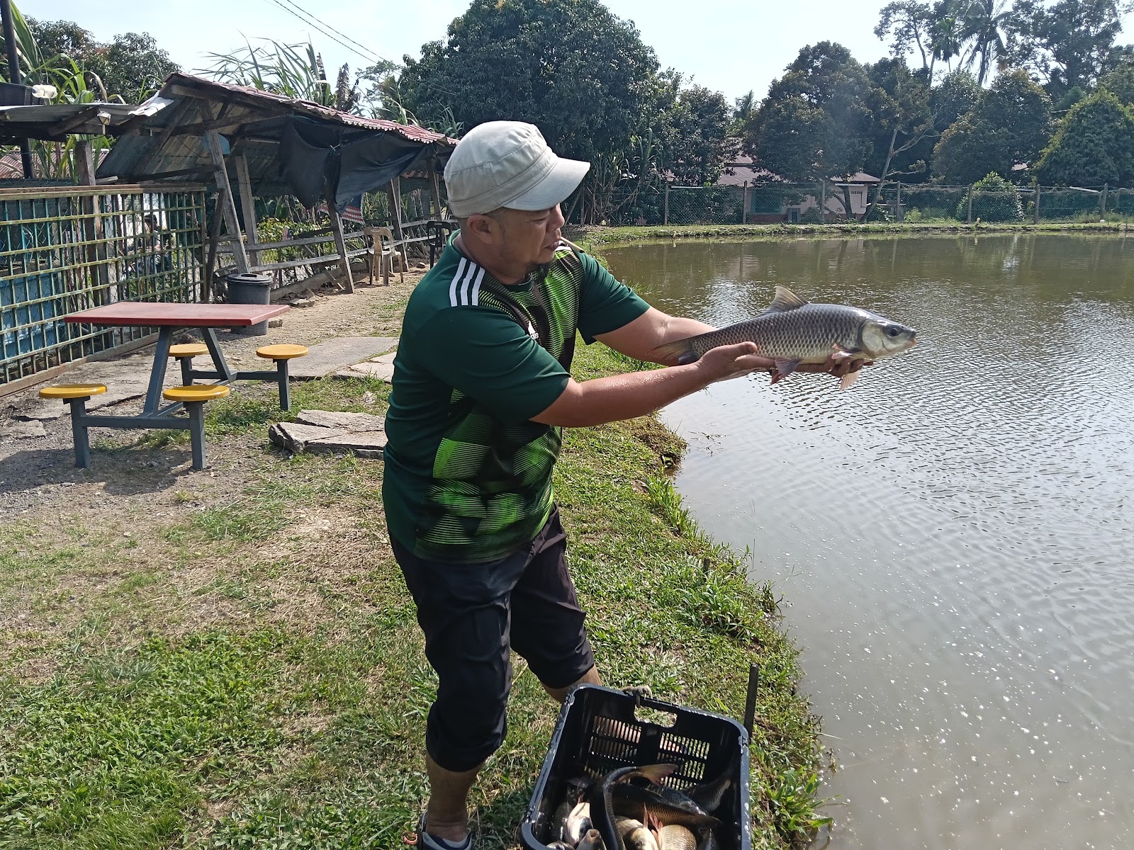 Qistina Kolam Pancing, fishing pond in Butterworth, Pulau Pinang (photo 2)