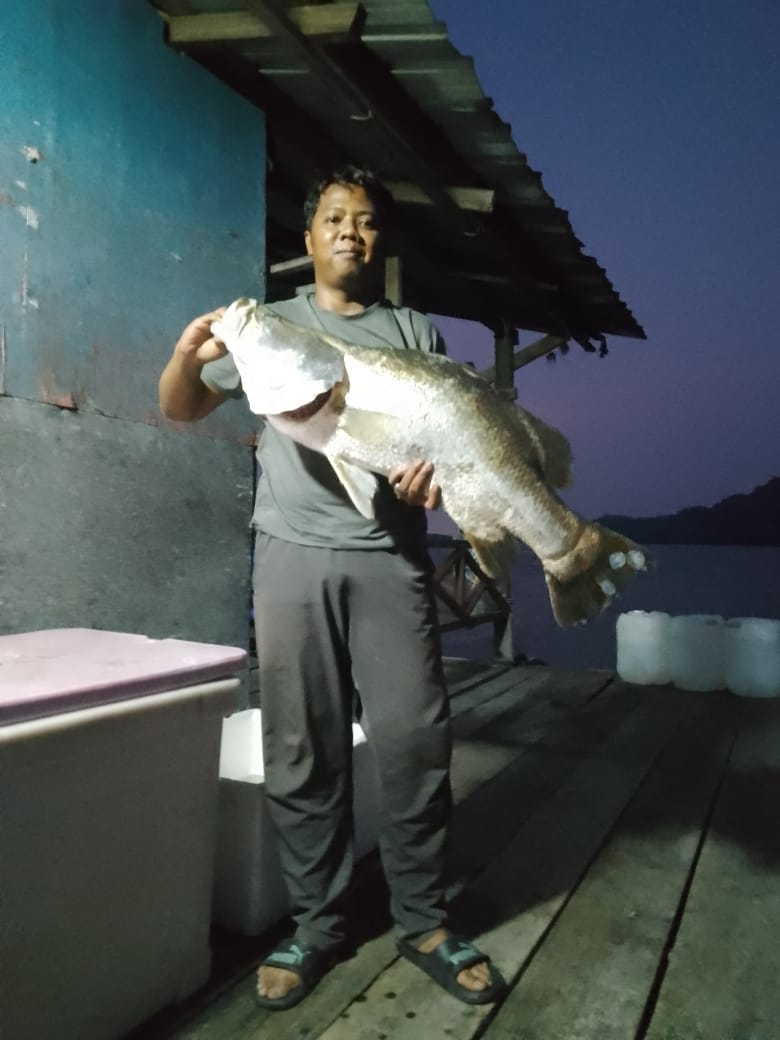 Kelong Pakcik (Kelong A dan B), kolam pancing di Simpang Ampat, Pulau Pinang (gambar 3)