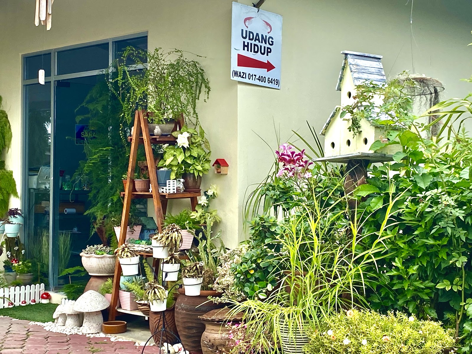 Wazi Umpan Hidup, kolam pancing di Bayan Lepas, Pulau Pinang (gambar 2)