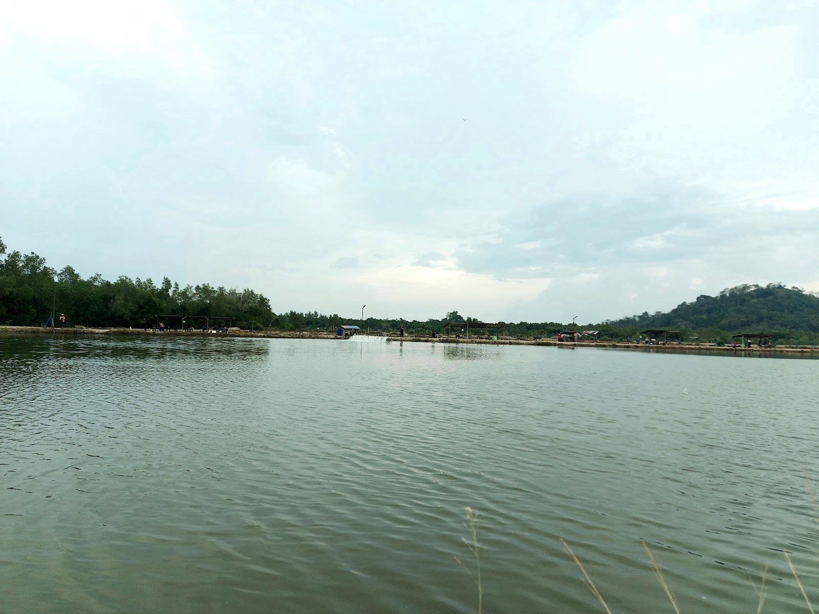 Kolam pancing Kolam Pancing D'Bakau