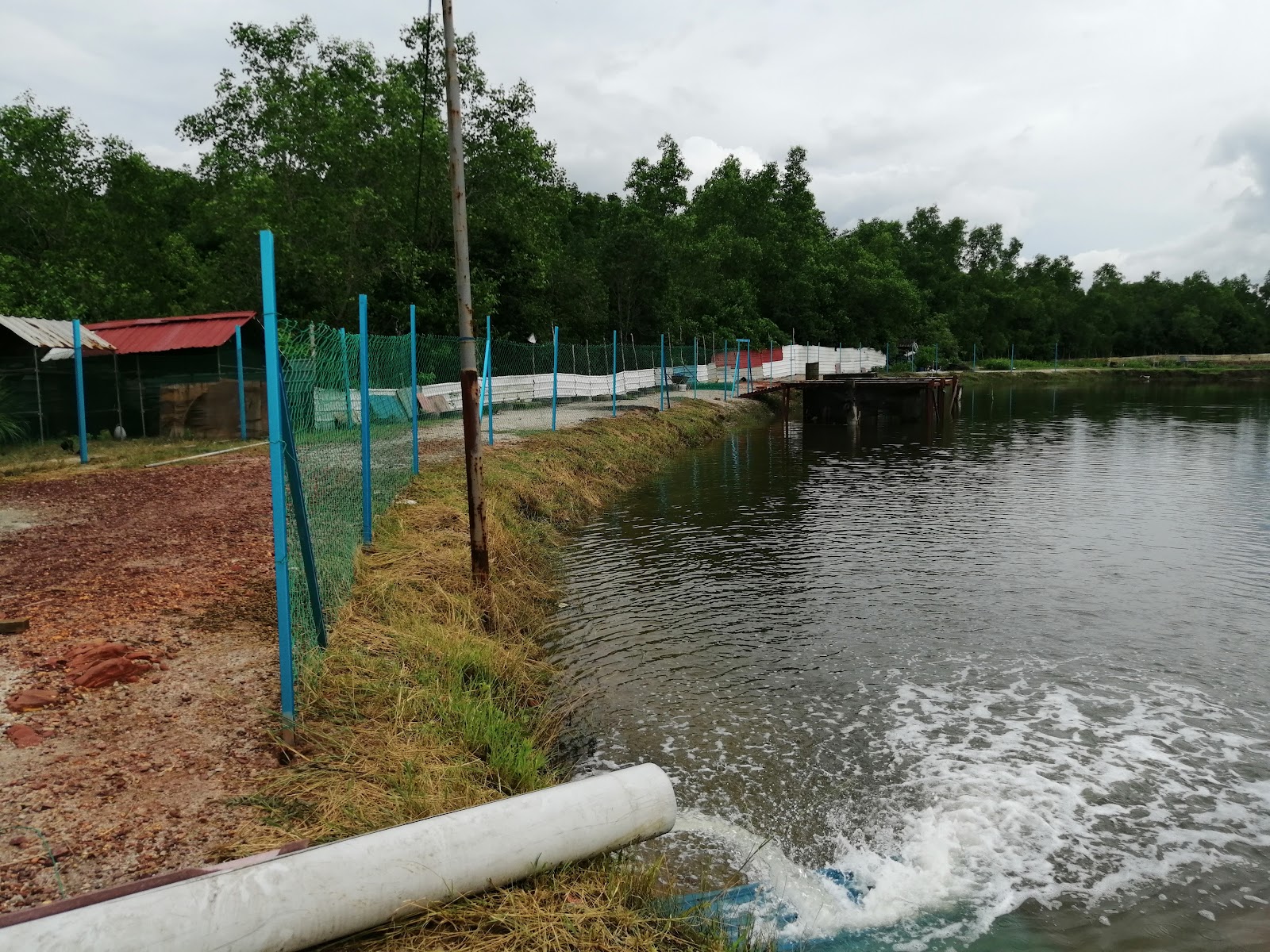 Kolam Pancing D'Bakau, fishing pond in Kota Kuala Muda, Kedah (photo 3)