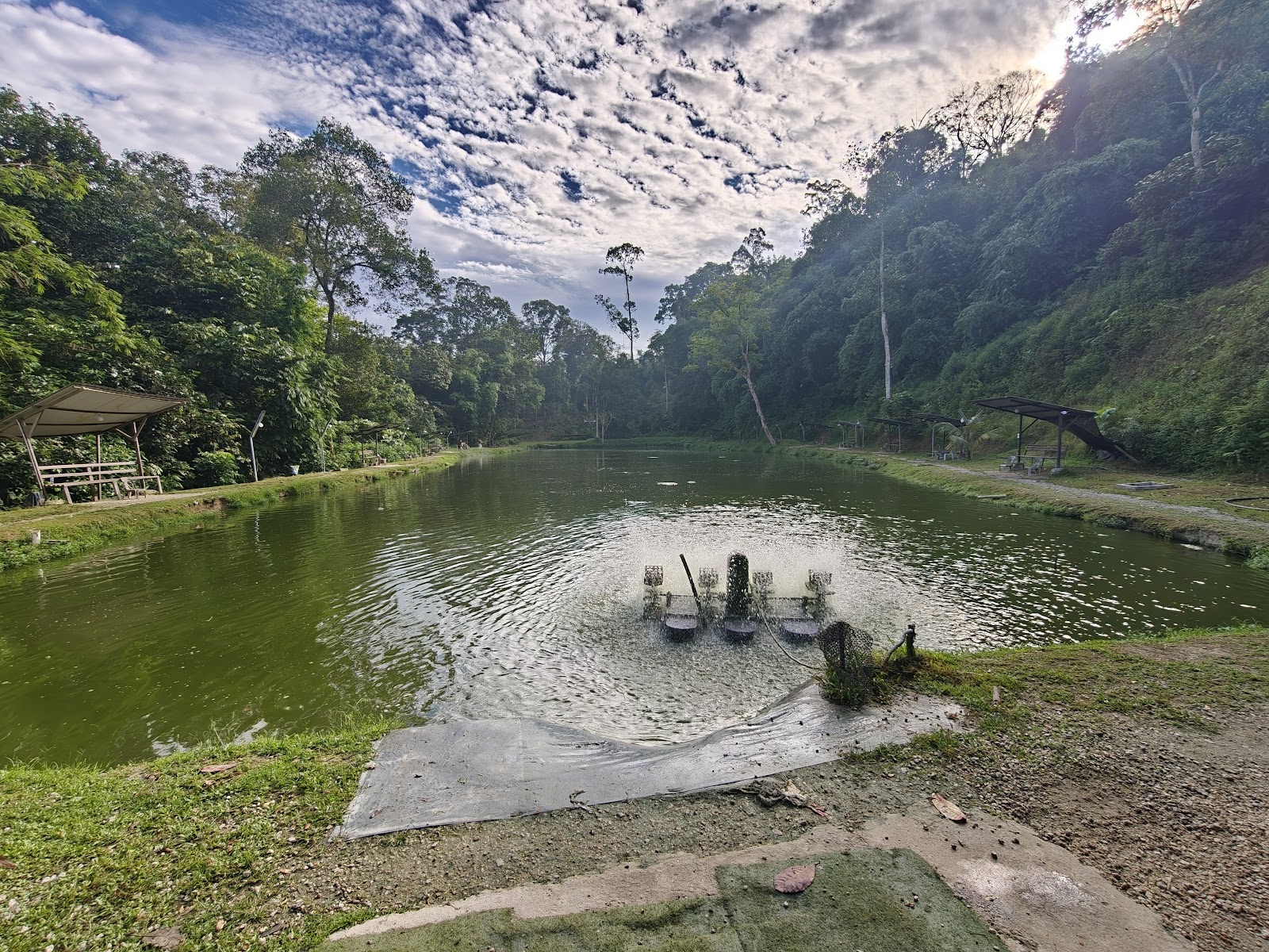 QANDANG FISHING PARK, kolam pancing di Ampang, Selangor (gambar 2)