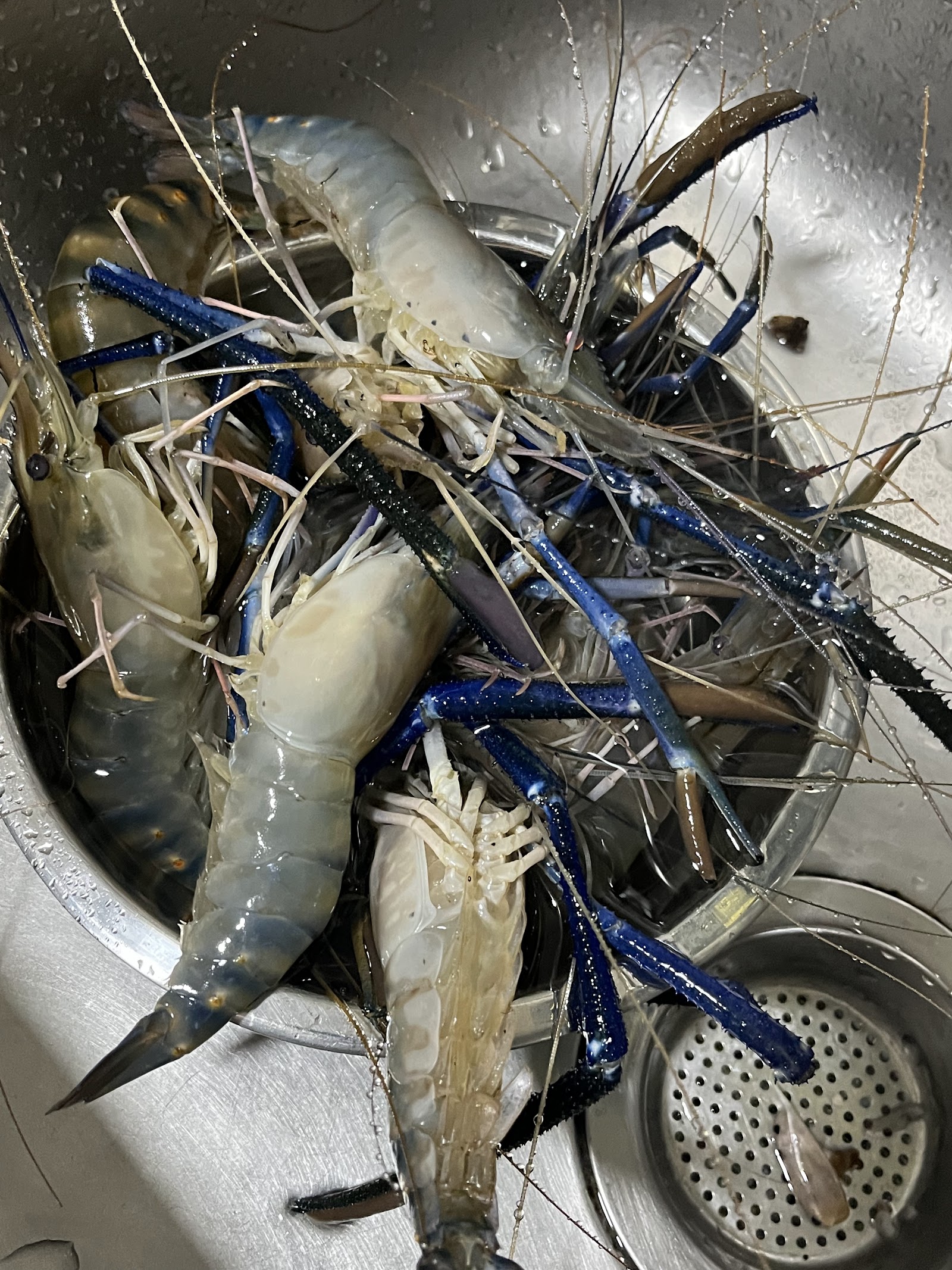 KOLAM MANCING UDANG FKS, kolam pancing di Kuala Lumpur (gambar 2)