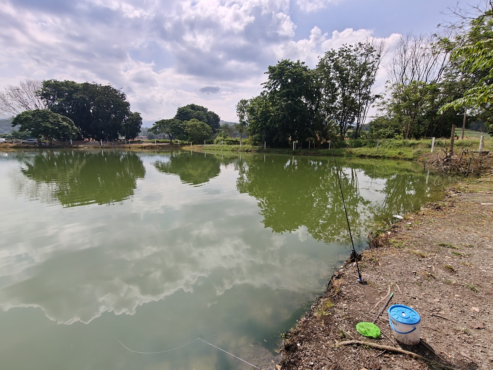 Kolam Pancing Pinggiran Danau Semenyih, kolam pancing di Selangor (gambar 2)