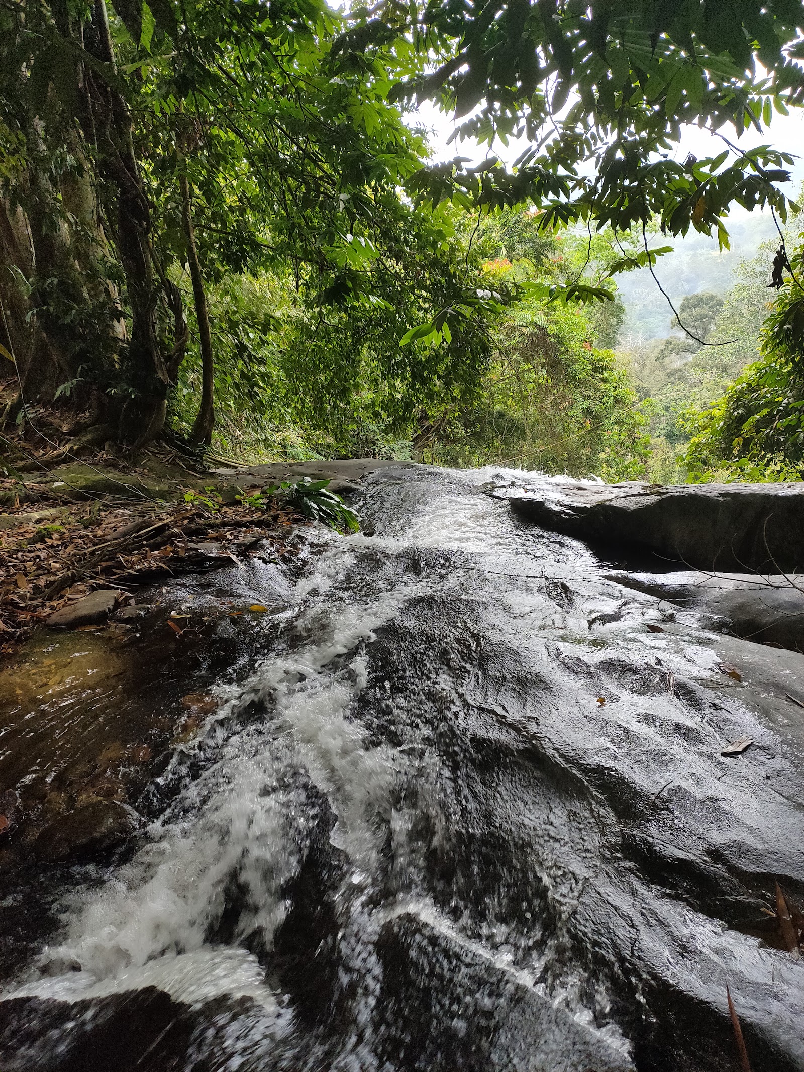 Kolam Pancing Warisan Gabai, kolam pancing di Hulu Langat, Selangor (gambar 2)
