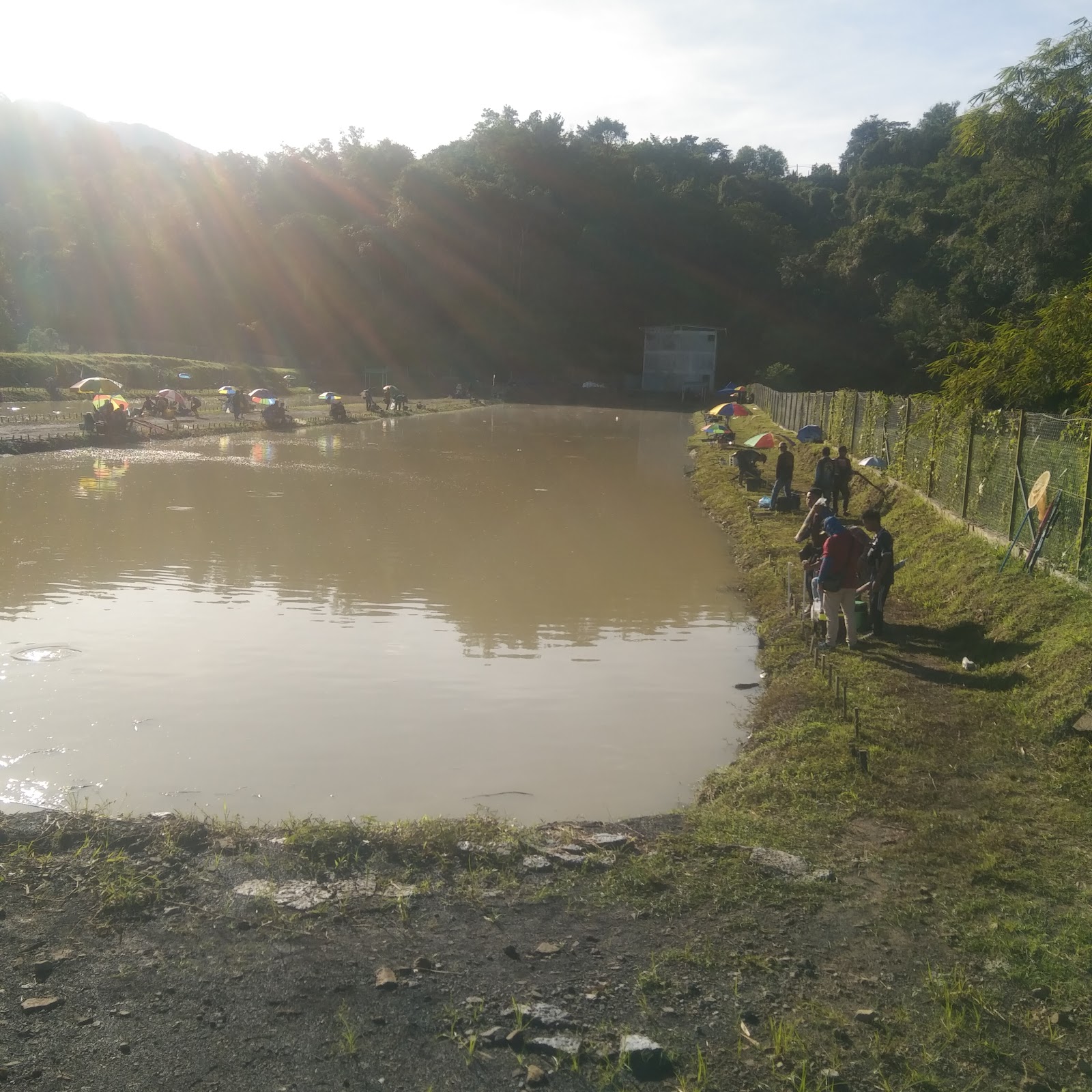KOLAM KLASIK KELIANGAU, fishing pond in Kota Kinabalu, Sabah (photo 3)