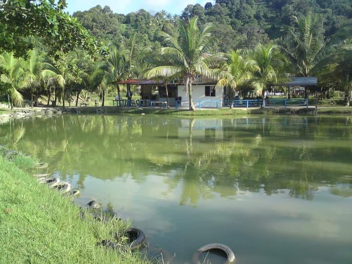 KOLAM FANTASY, fishing pond in Papar, Sabah (photo 2)