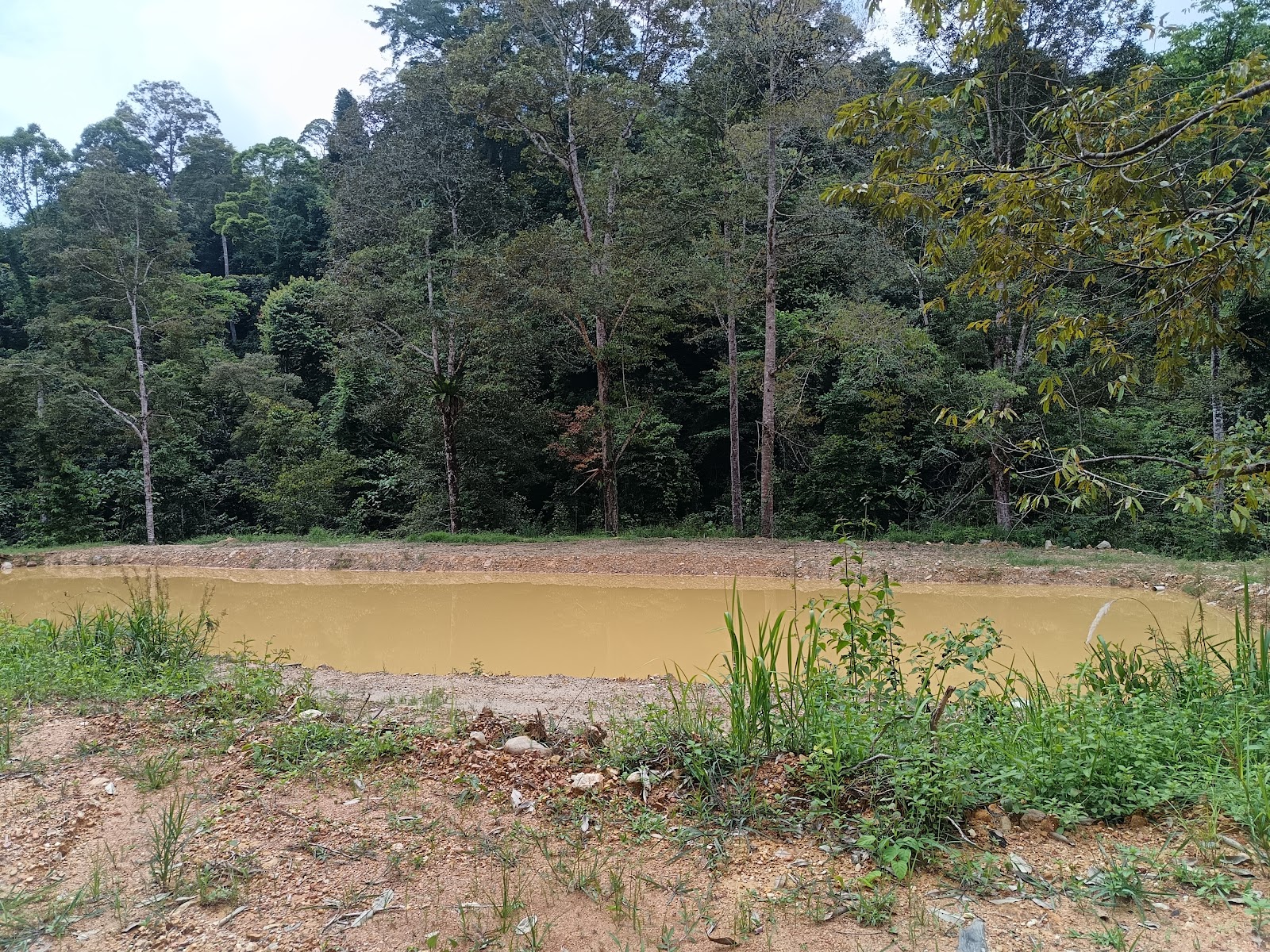 Kolam pancing Kolam Ninduangan