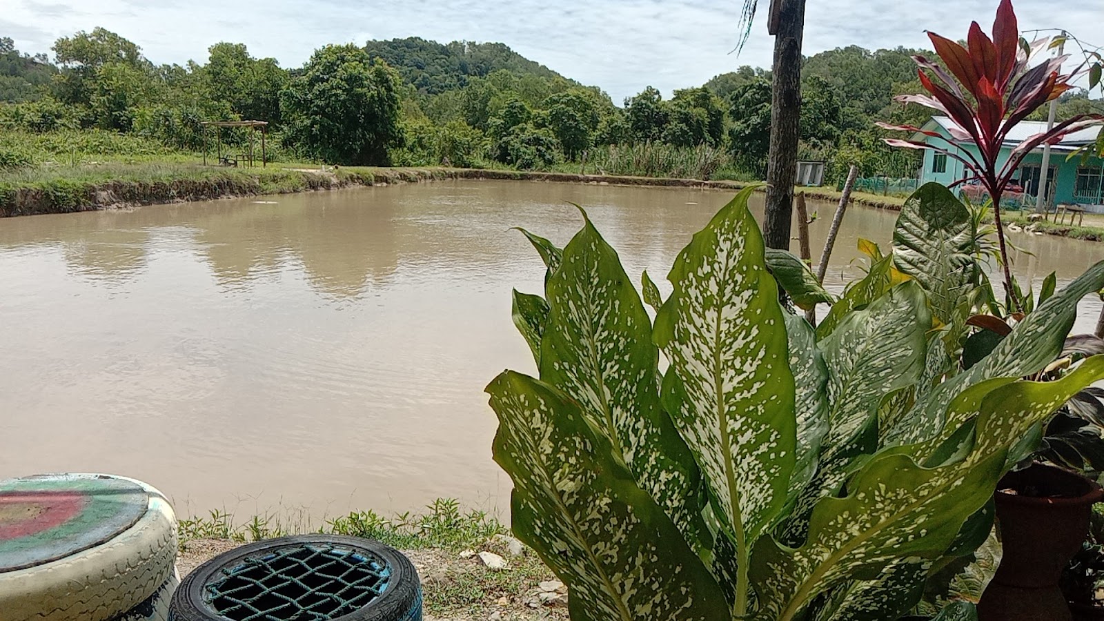 Kolam pancing Kolam Haji Amin