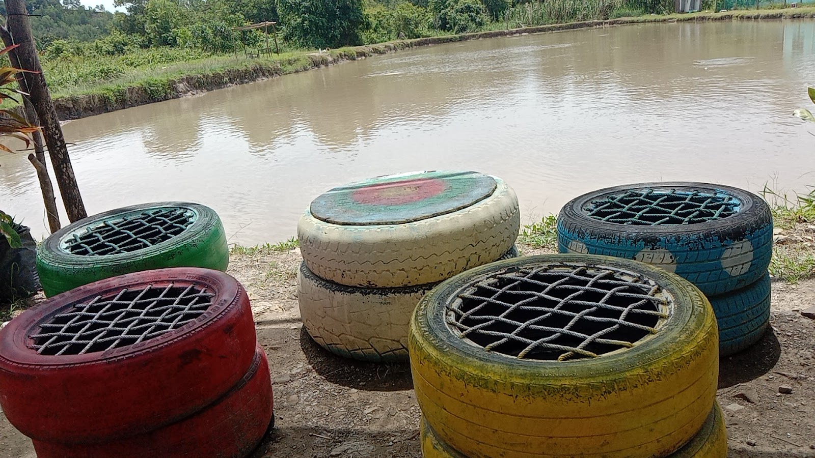 Kolam Haji Amin, kolam pancing di Tuaran, Sabah (gambar 2)