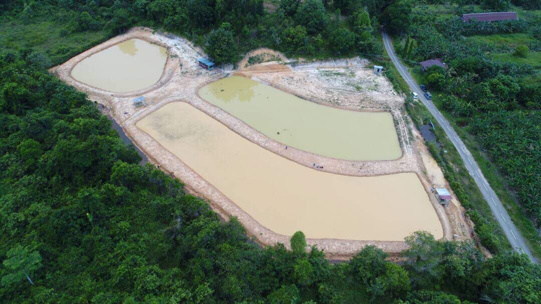 Kolam pancing Kolam Sahabat Papar