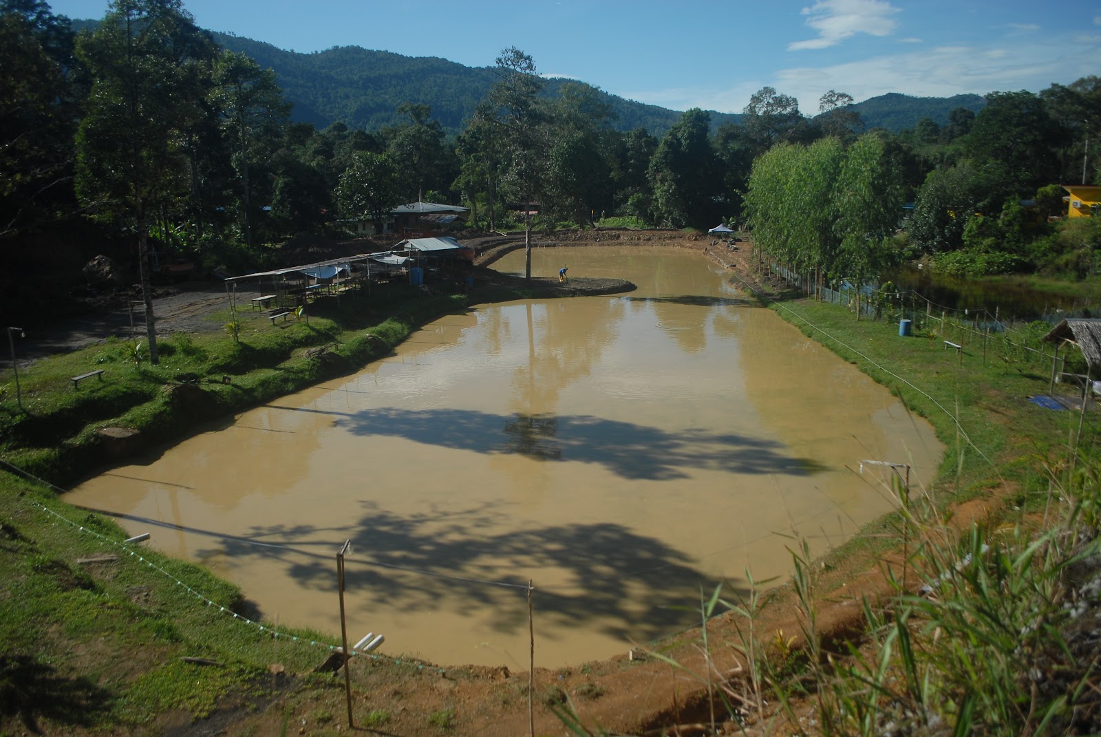 Kolam D' U.S, kolam pancing di Sipitang, Sabah (gambar 3)