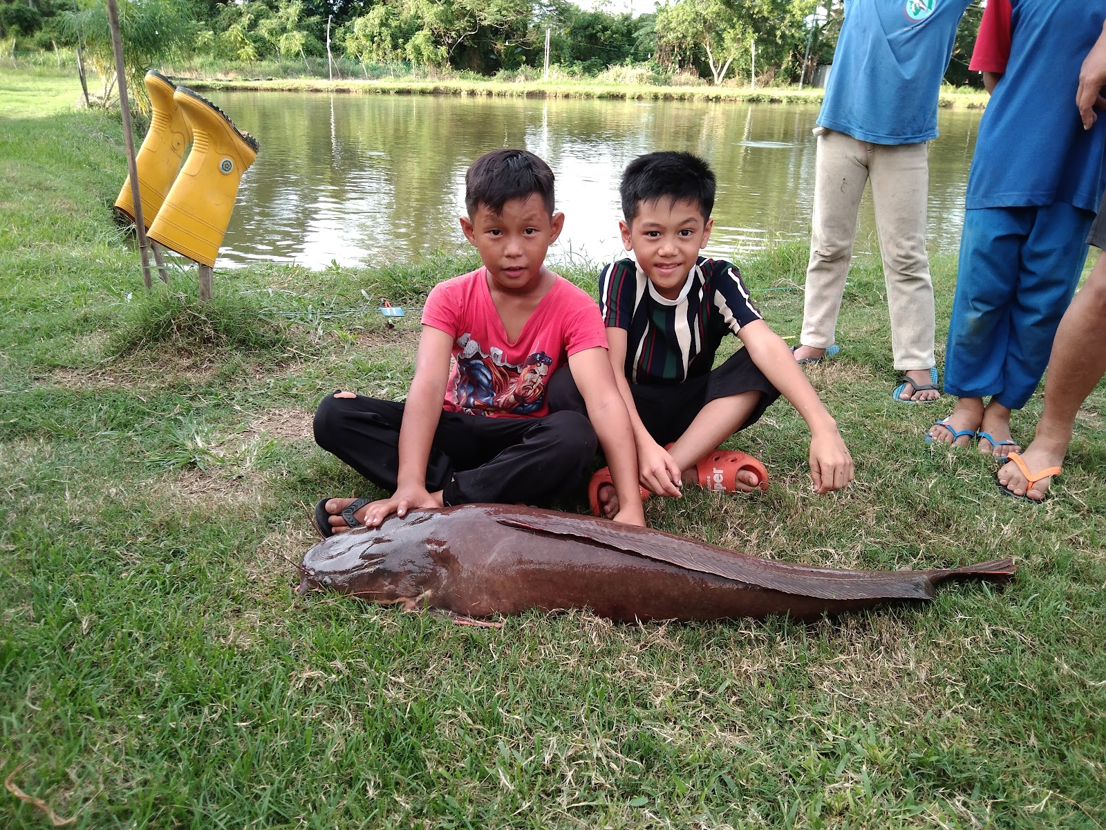 Kolam pancing Kolam MGP Tuaran Sabah