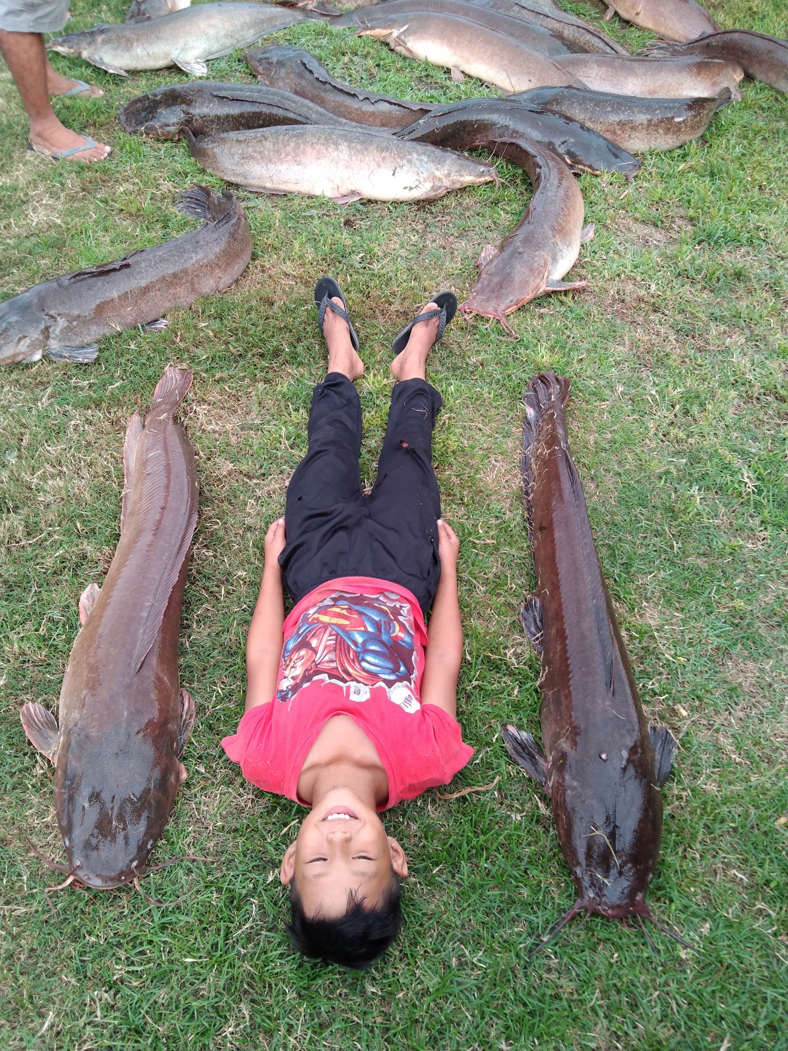 Kolam MGP Tuaran Sabah, fishing pond in Tuaran, Sabah (photo 3)