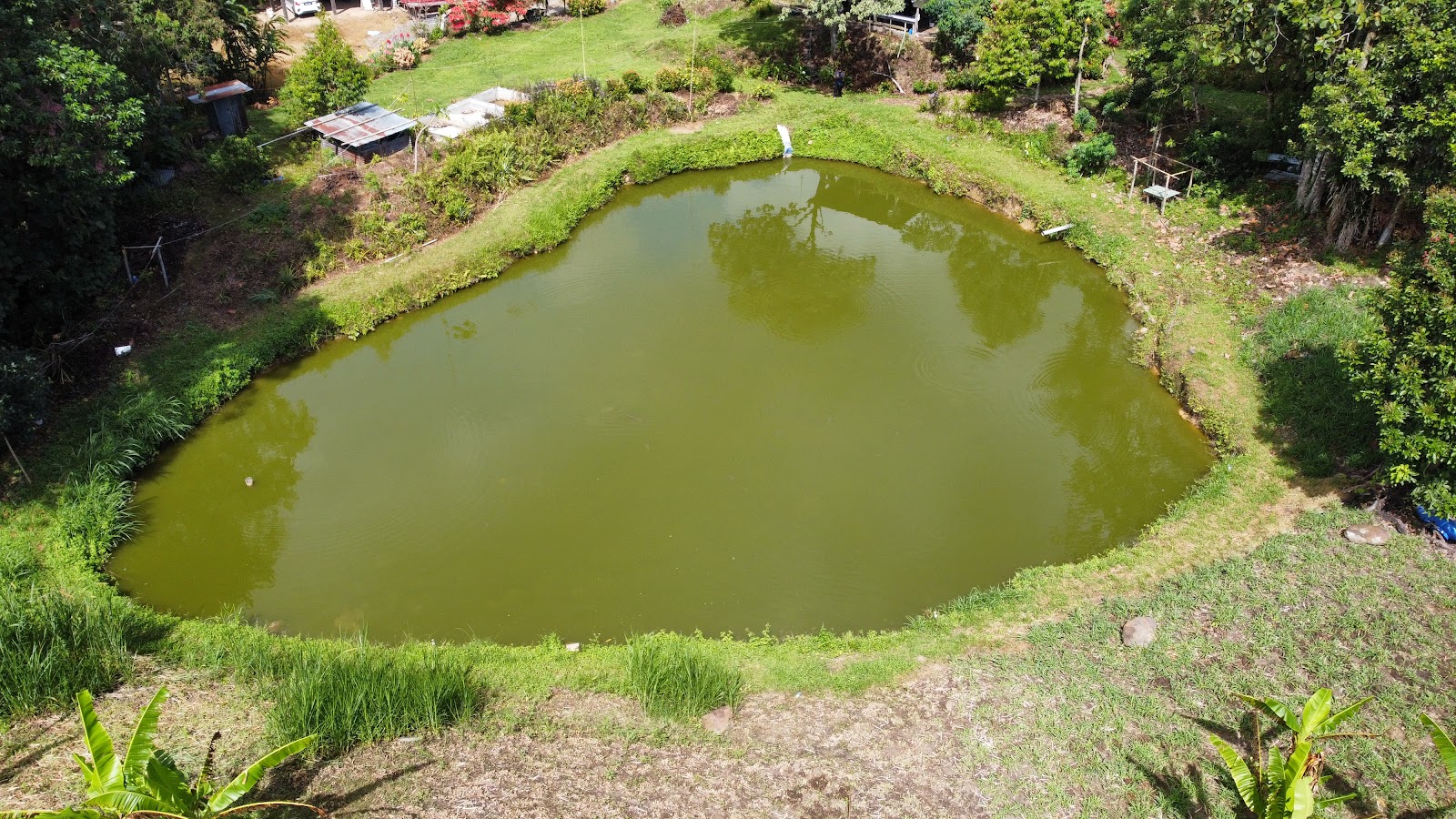 Kolam Pancing Tambiau, fishing pond in Ranau, Sabah (photo 2)