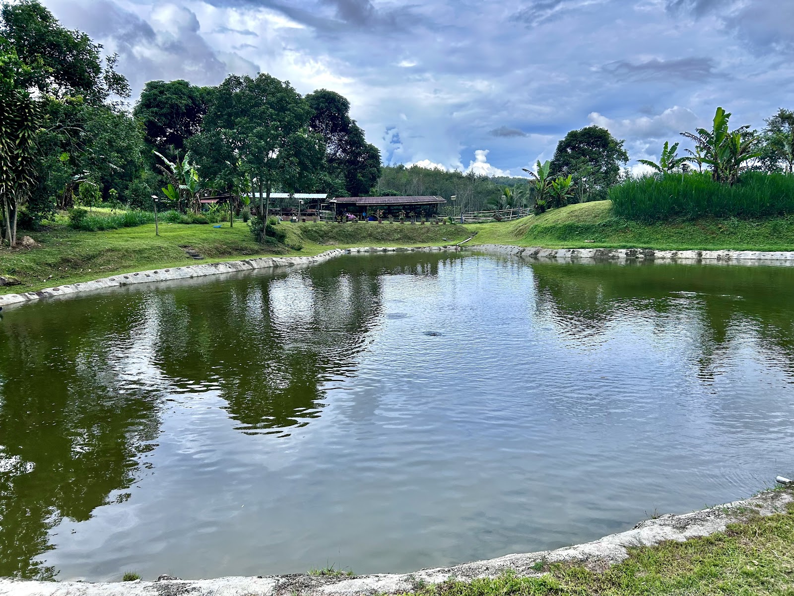 Kolam Pancing Tambiau, fishing pond in Ranau, Sabah (photo 3)