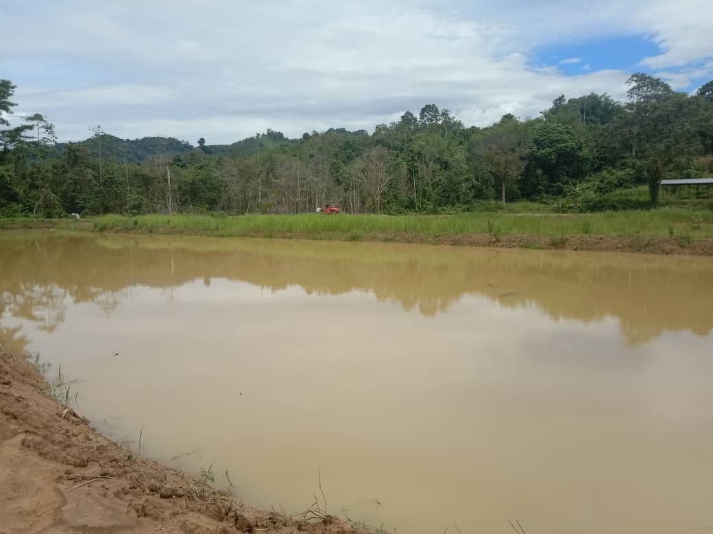 Kolam Pancing Debra (KPDR), fishing pond in Ranau, Sabah (photo 2)
