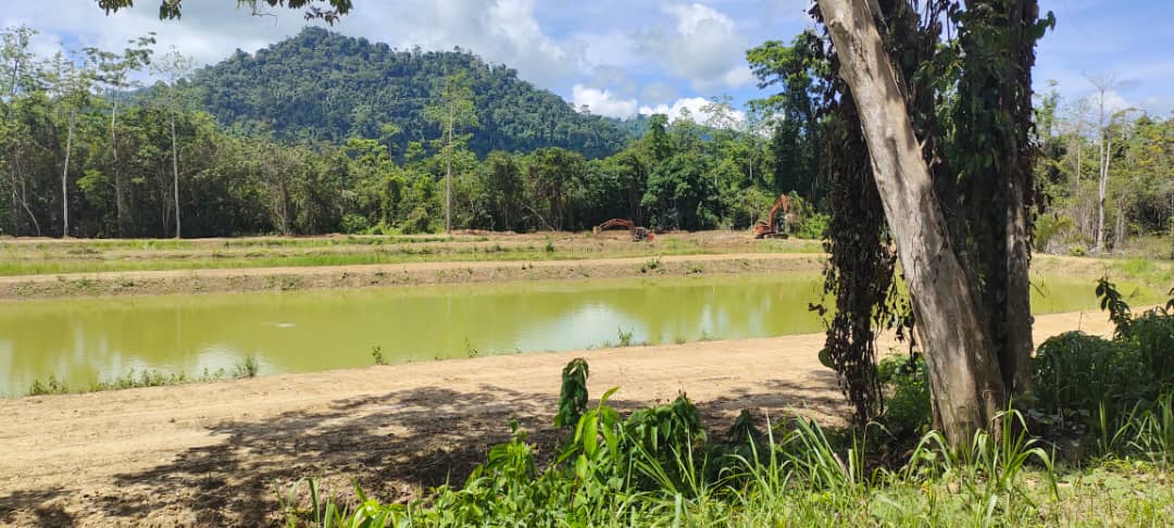 Kolam Pancing Debra (KPDR), fishing pond in Ranau, Sabah (photo 3)