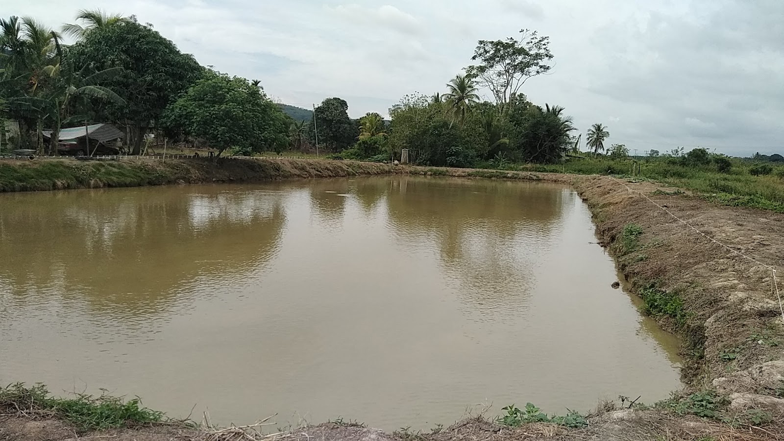Kolam pancing Kolam Mogolisun View