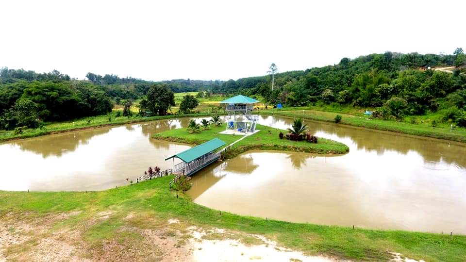 KOLAM D' PIGING fishing pond